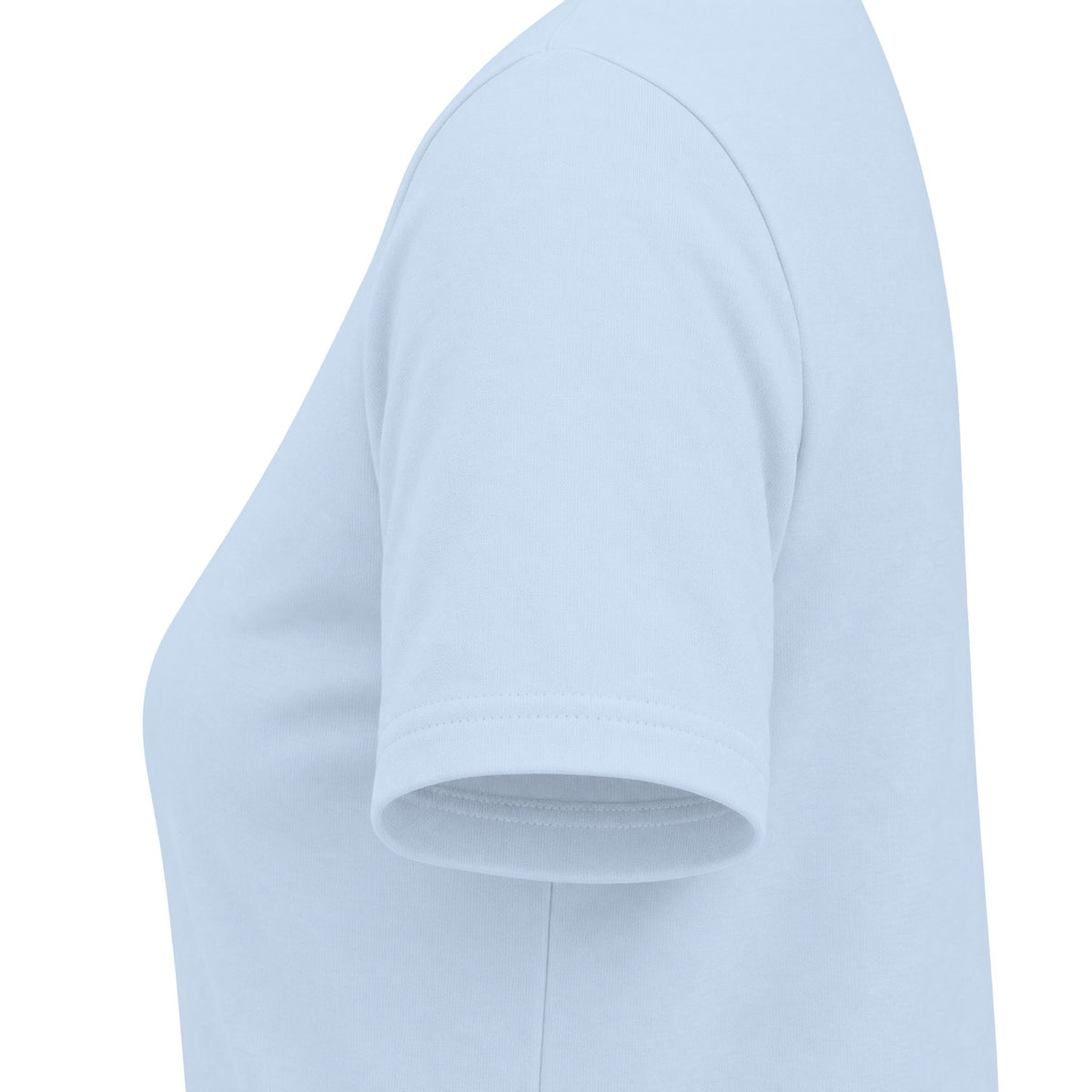 Good Book Series Obstinate Animals & Angels With Swords Women's Tee