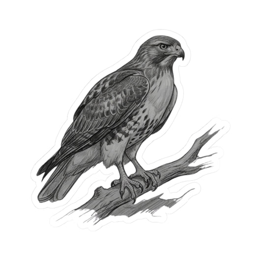 "Pencil Sketch Art Red-Tailed Hawk" Sticker — Main