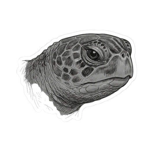 "Pencil Sketch Art Sea Turtle" Sticker