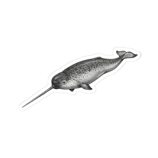 "Pencil Sketch Art Narwhal" Sticker — Main