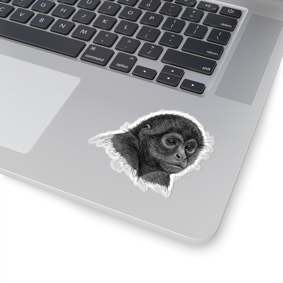 "Pencil Sketch Art Spider Monkey" Sticker