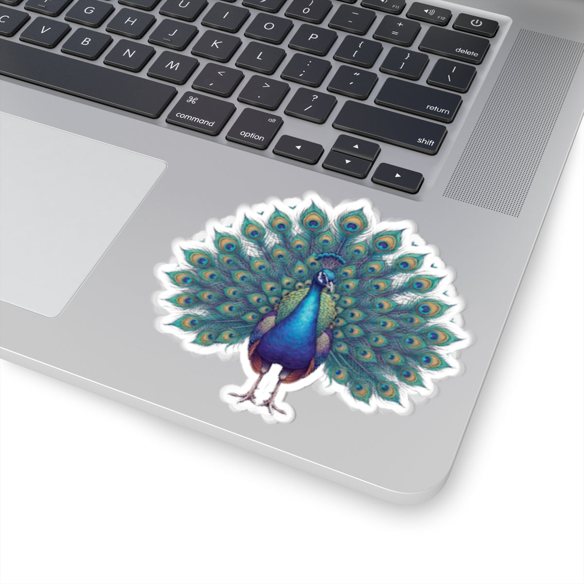"Hippy Peacock" Sticker — Main