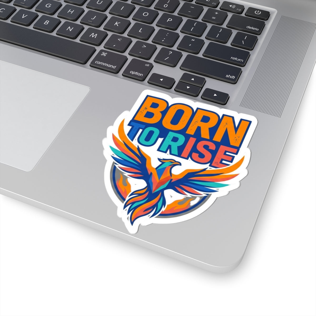 "Born to Rise" Sticker — Main