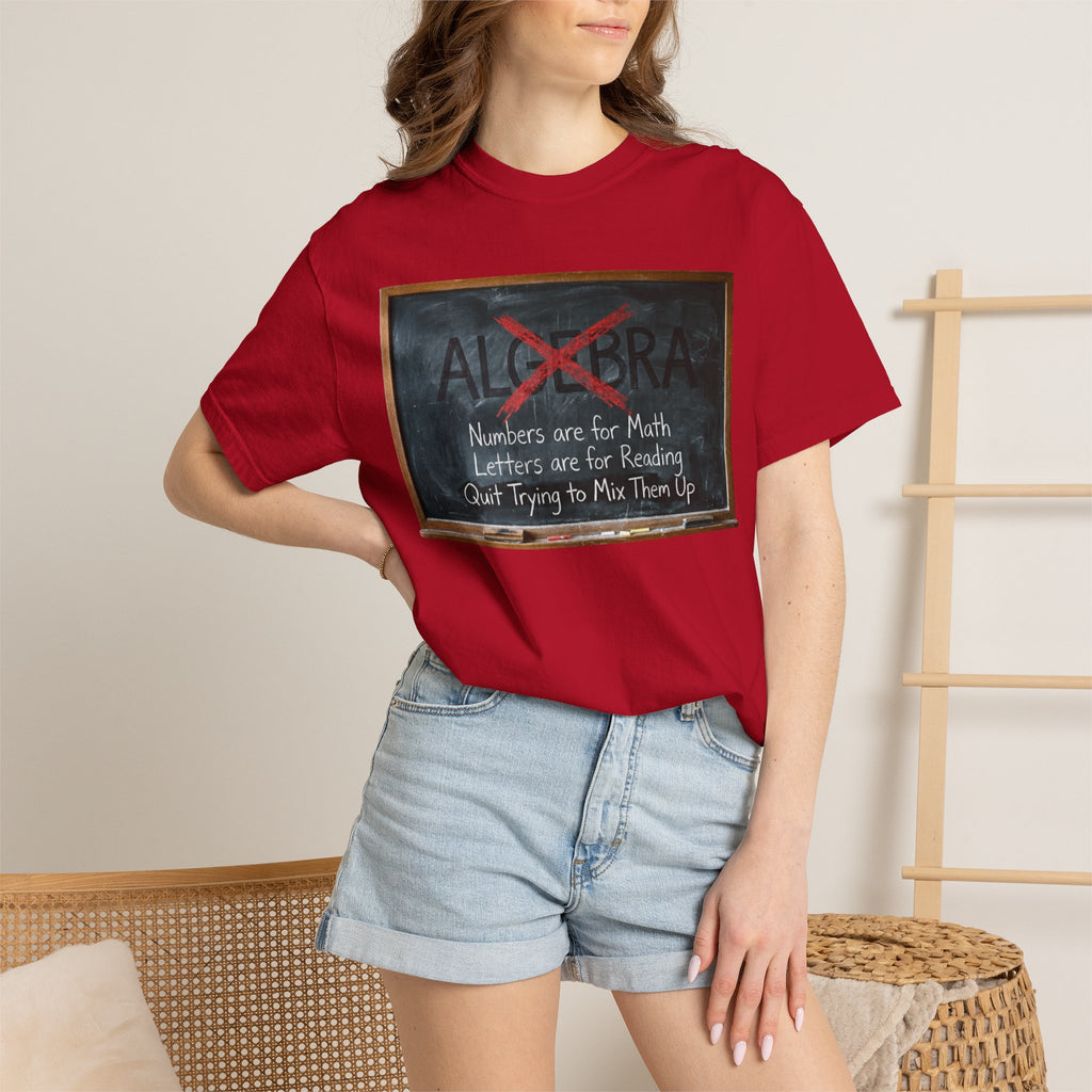 "Algebra" Unisex Garment-Dyed Tee