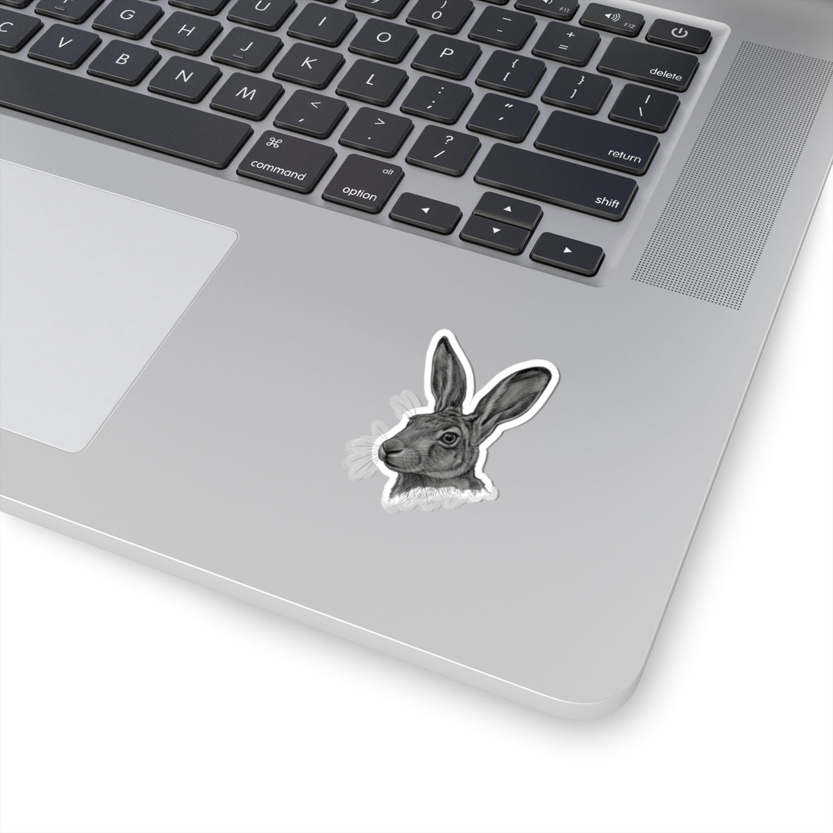"Pencil Sketch Art Jack Rabbit" Sticker