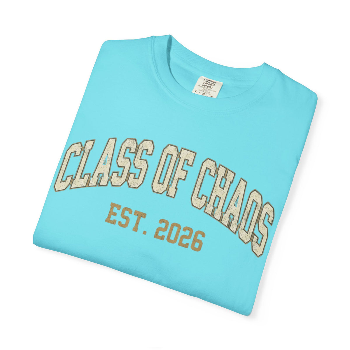 "Class of Chaos" Unisex Garment-Dyed Tee