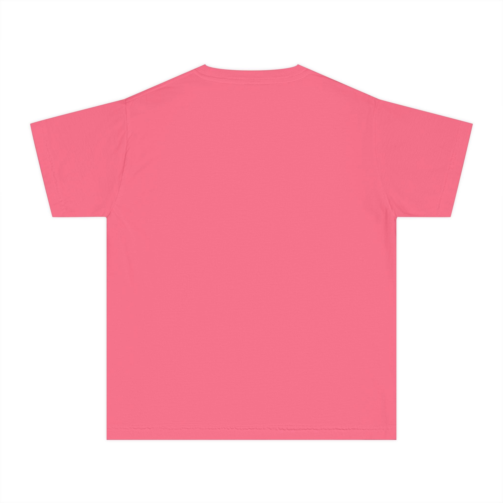 Whisky Tango Foxtrot - WTF Decoded | Youth Tee — AttitudeShirts