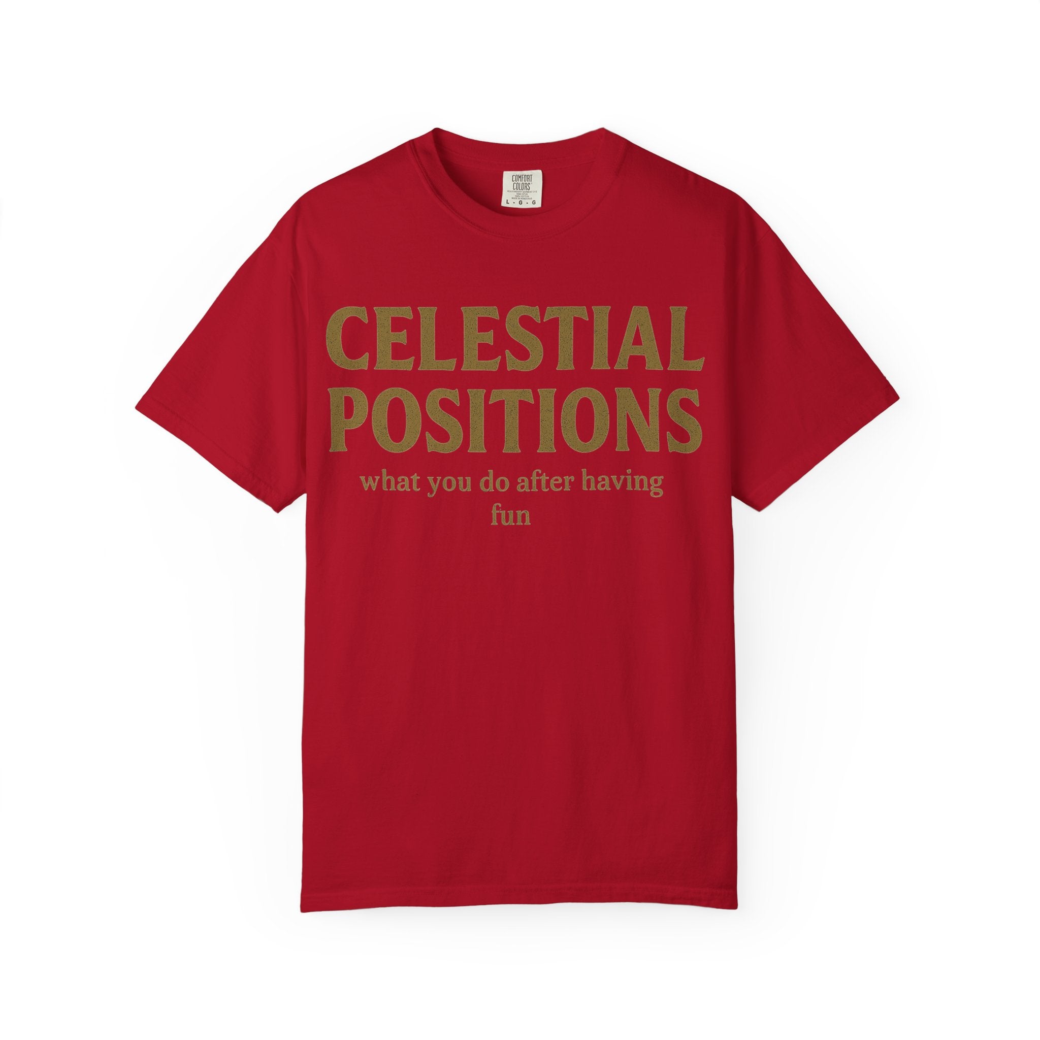 "Celestial Positions" Unisex Garment-Dyed T-shirt