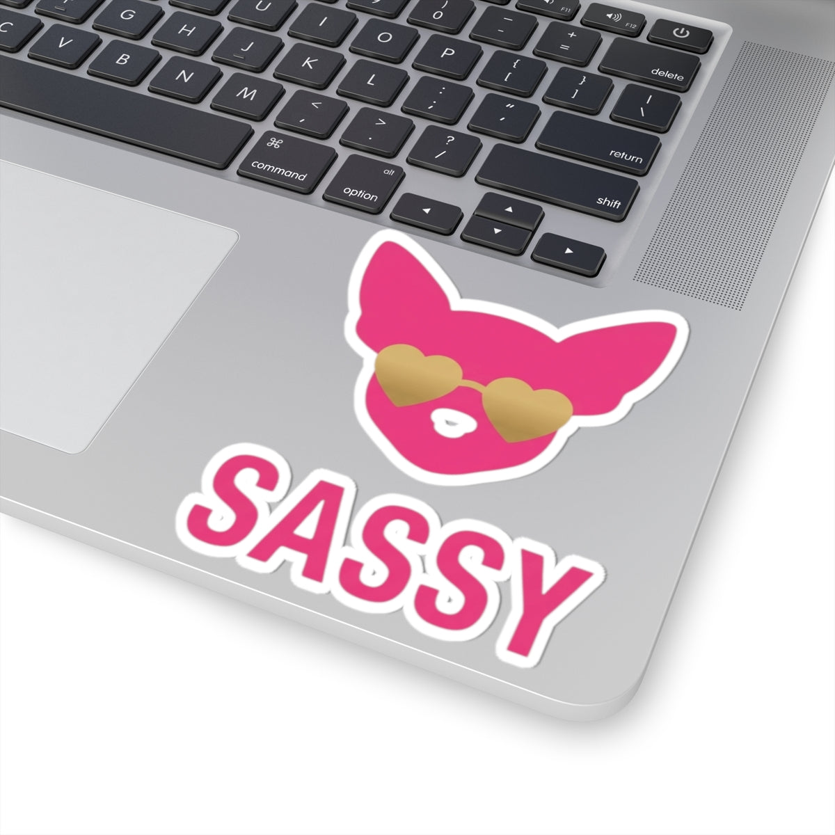 "Sassy Since Birth" Sticker