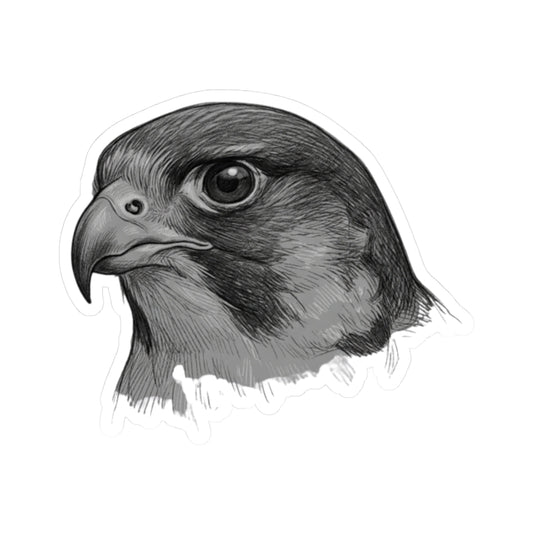 "Pencil Sketch Art Falcon" Sticker