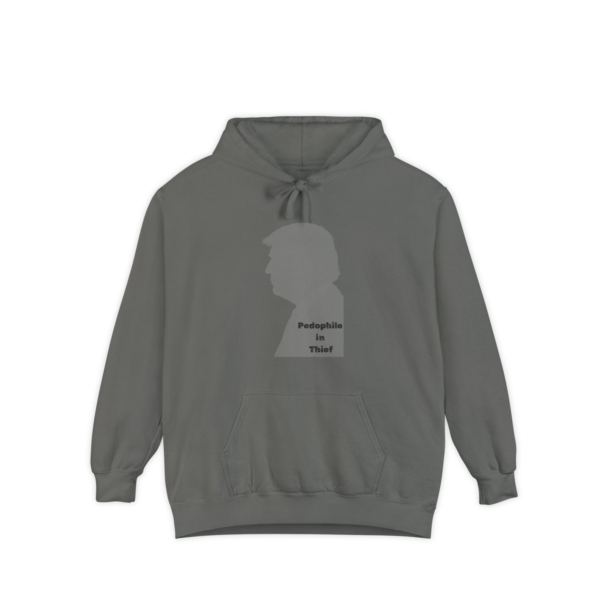 Wolf in Sheep's Clothing Reality Check | Garment-Dyed Hoodie — AttitudeShirts