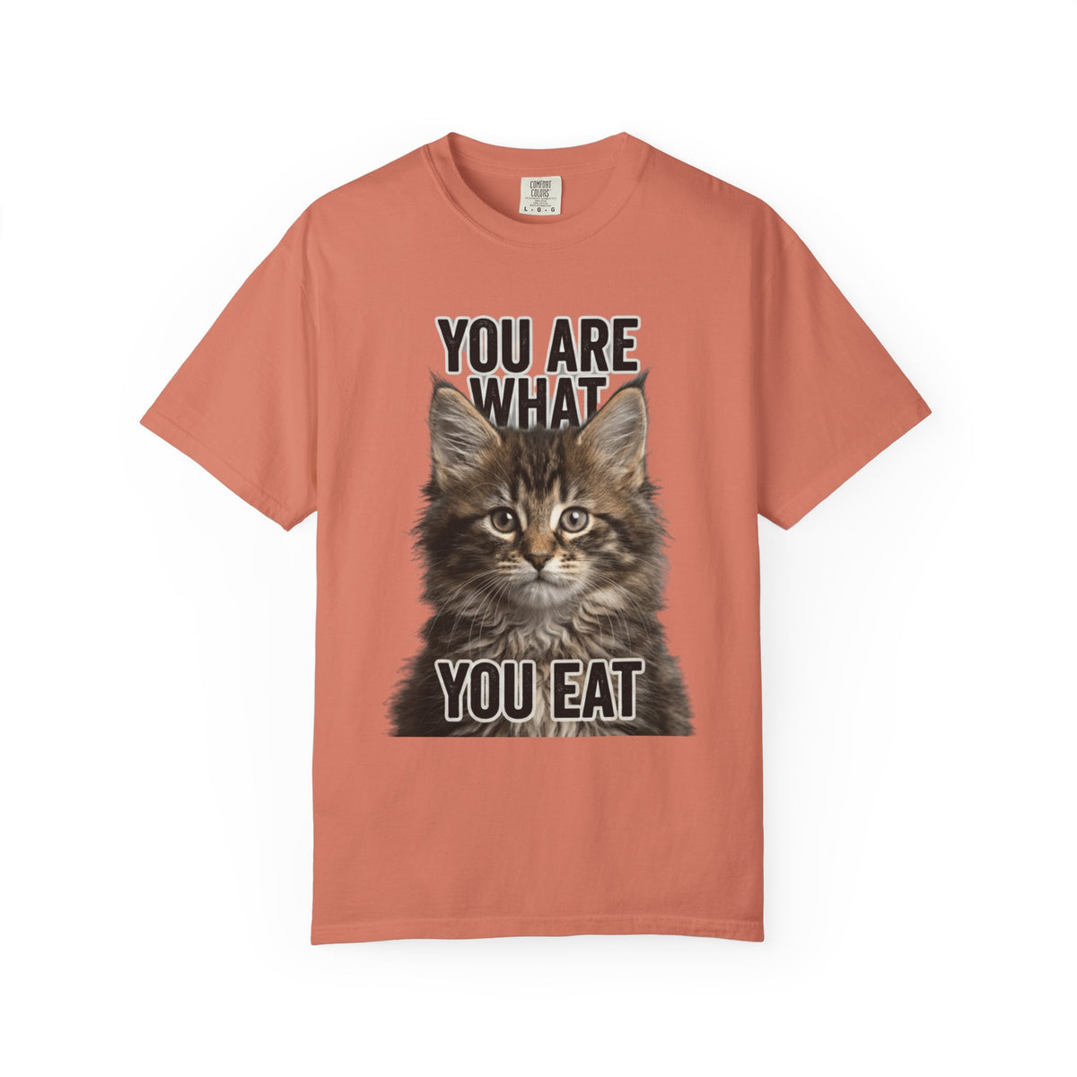 Color: Terracotta | You Are What You Eat - Cat 4 Unisex Garment-Dyed T-shirt