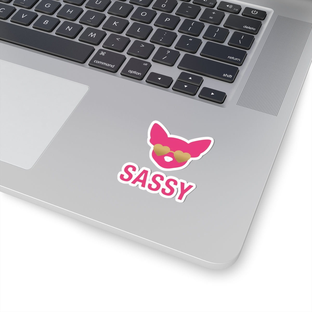 "Sassy Since Birth" Sticker