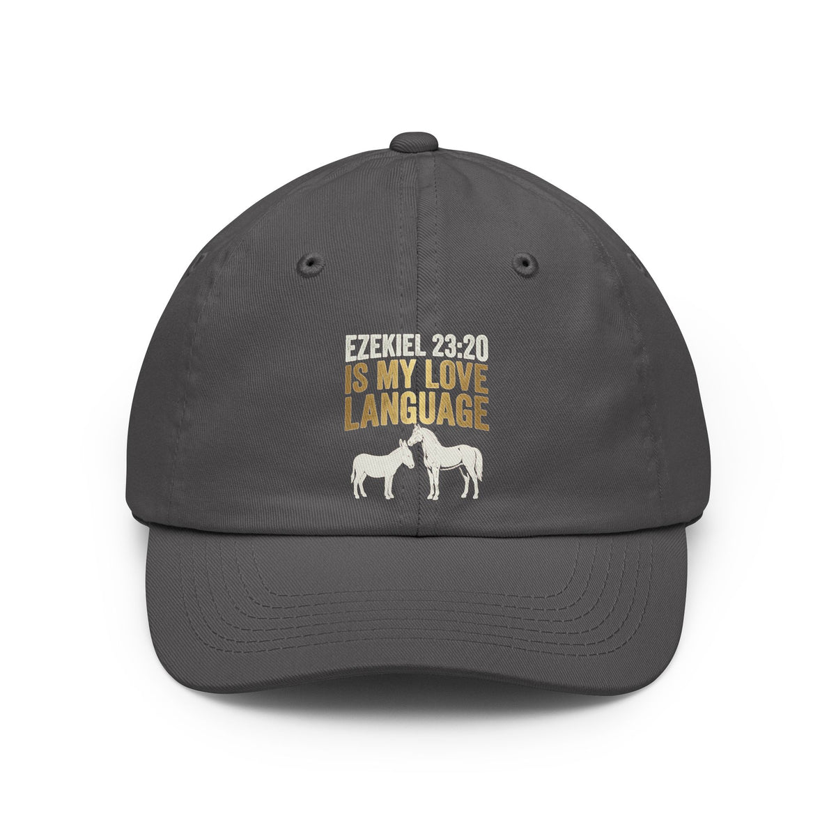 Color: Charcoal | Good Book Series Ezekiel 23 20 Love Language Dad Hat