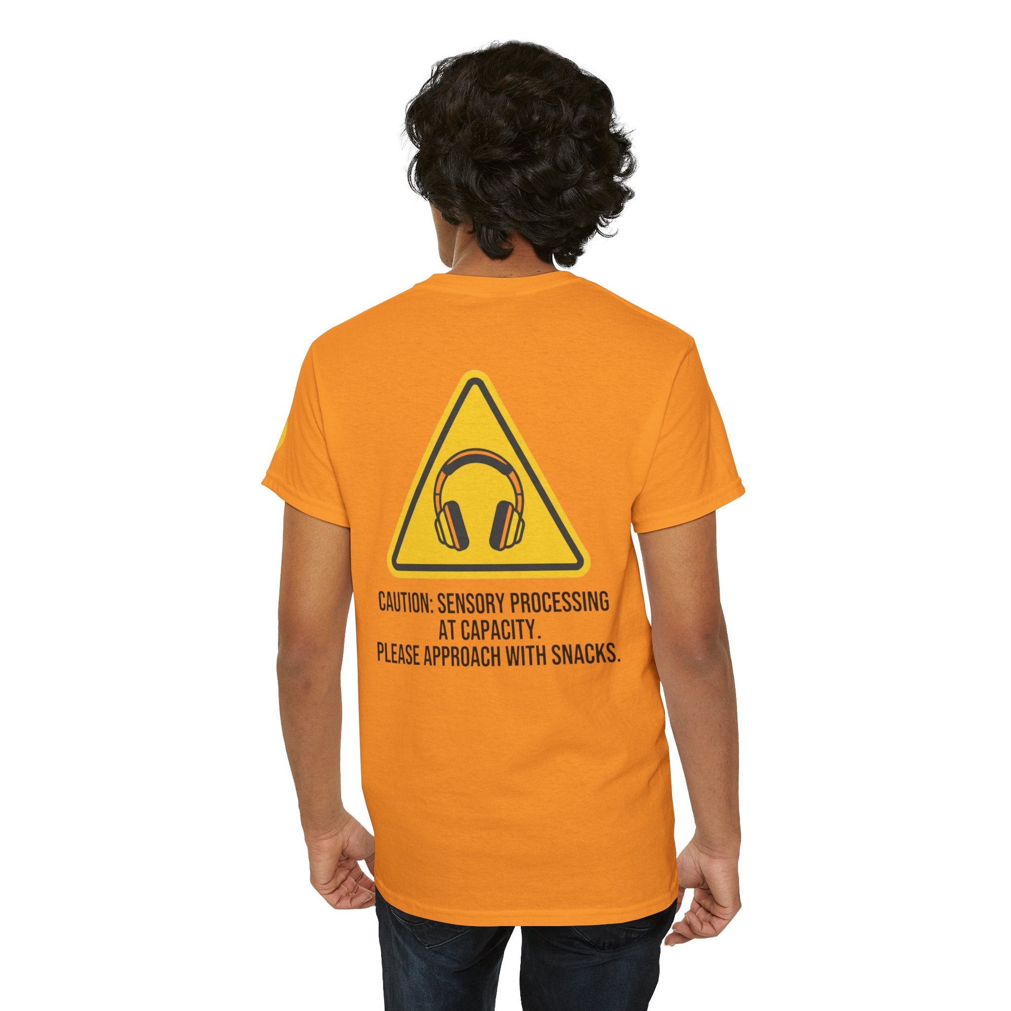 "Sensory At Capacity" Premium Graphic Tee