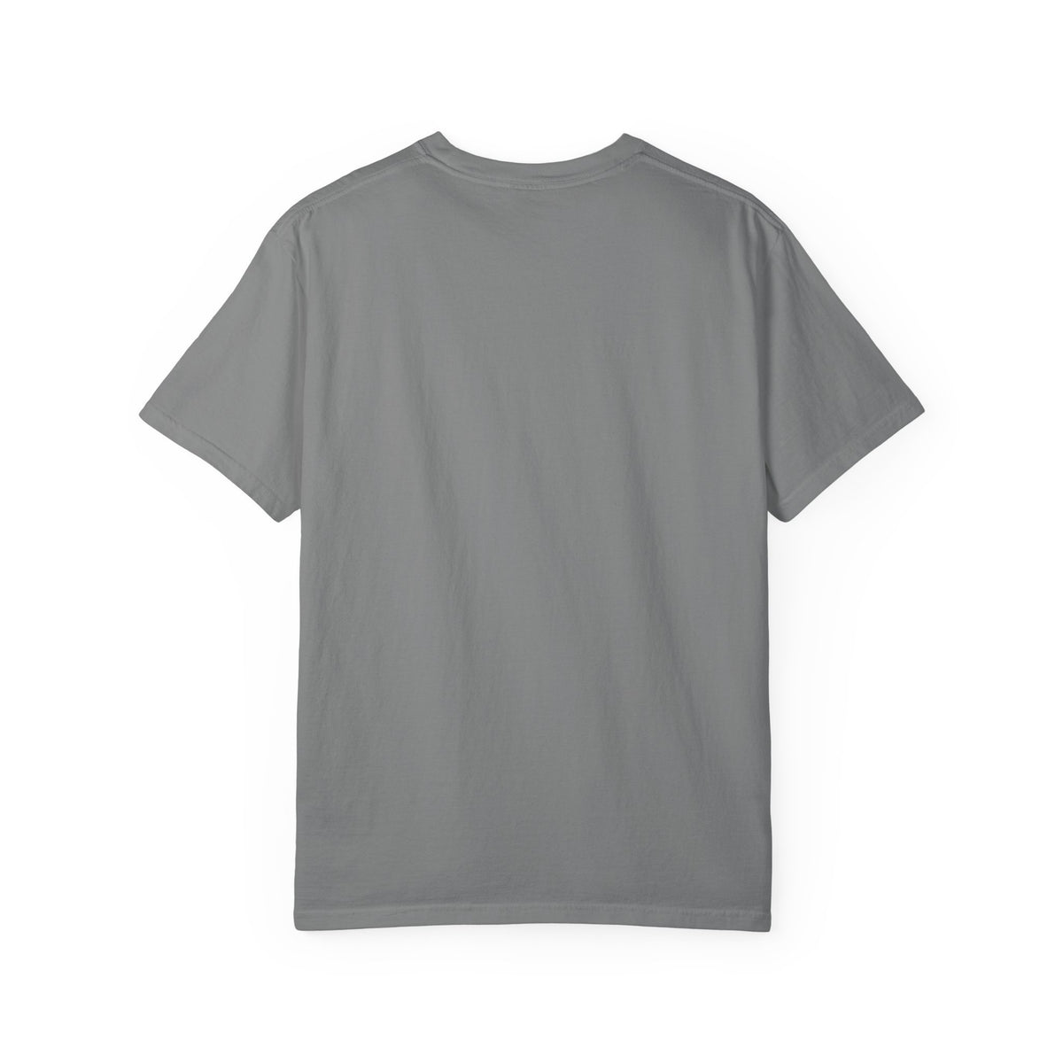 Color: Grey | The High-Octane Diet Plan Unisex Garment-Dyed T-shirt
