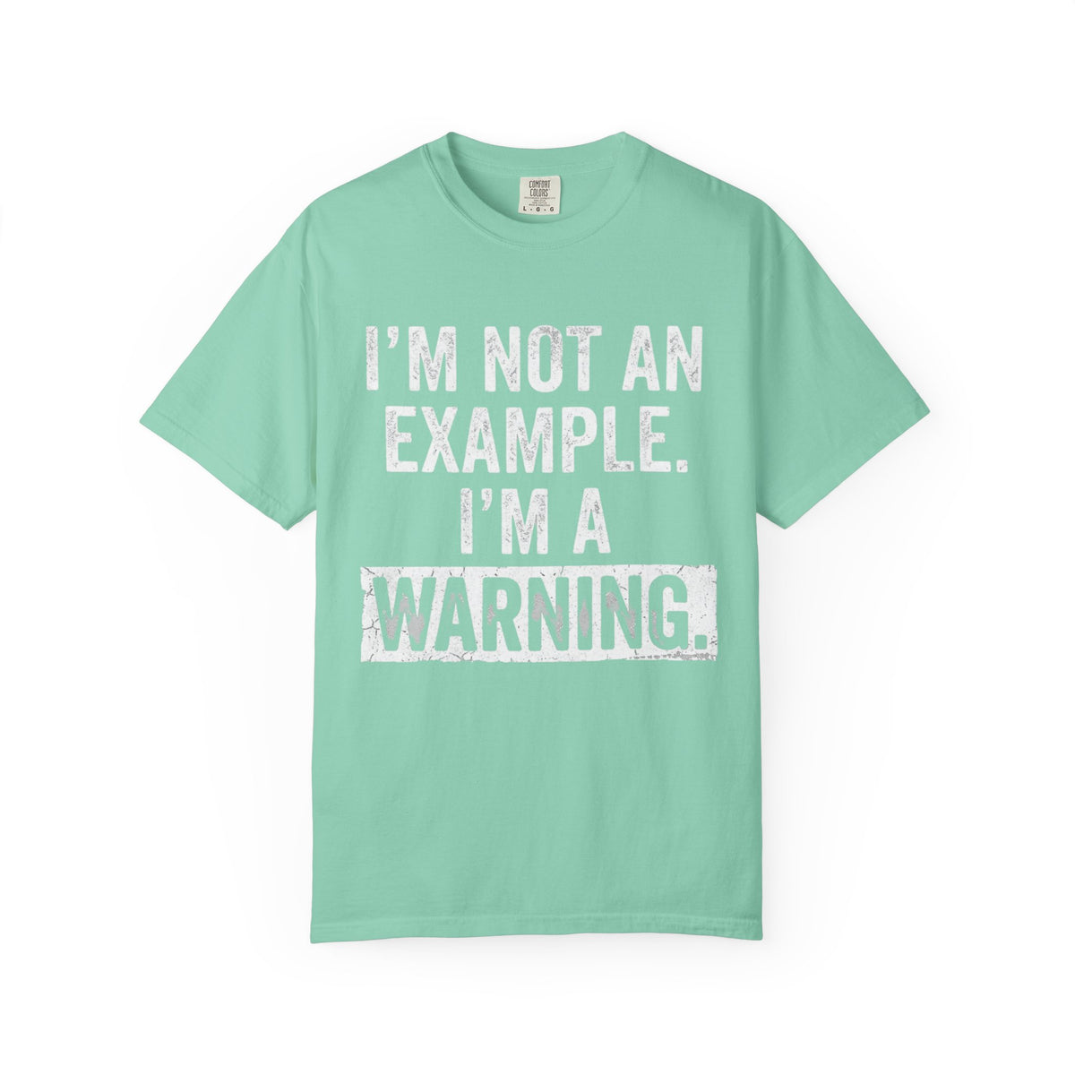 Color: Island Reef | I'm Not An Example Unisex Garment-Dyed Tee