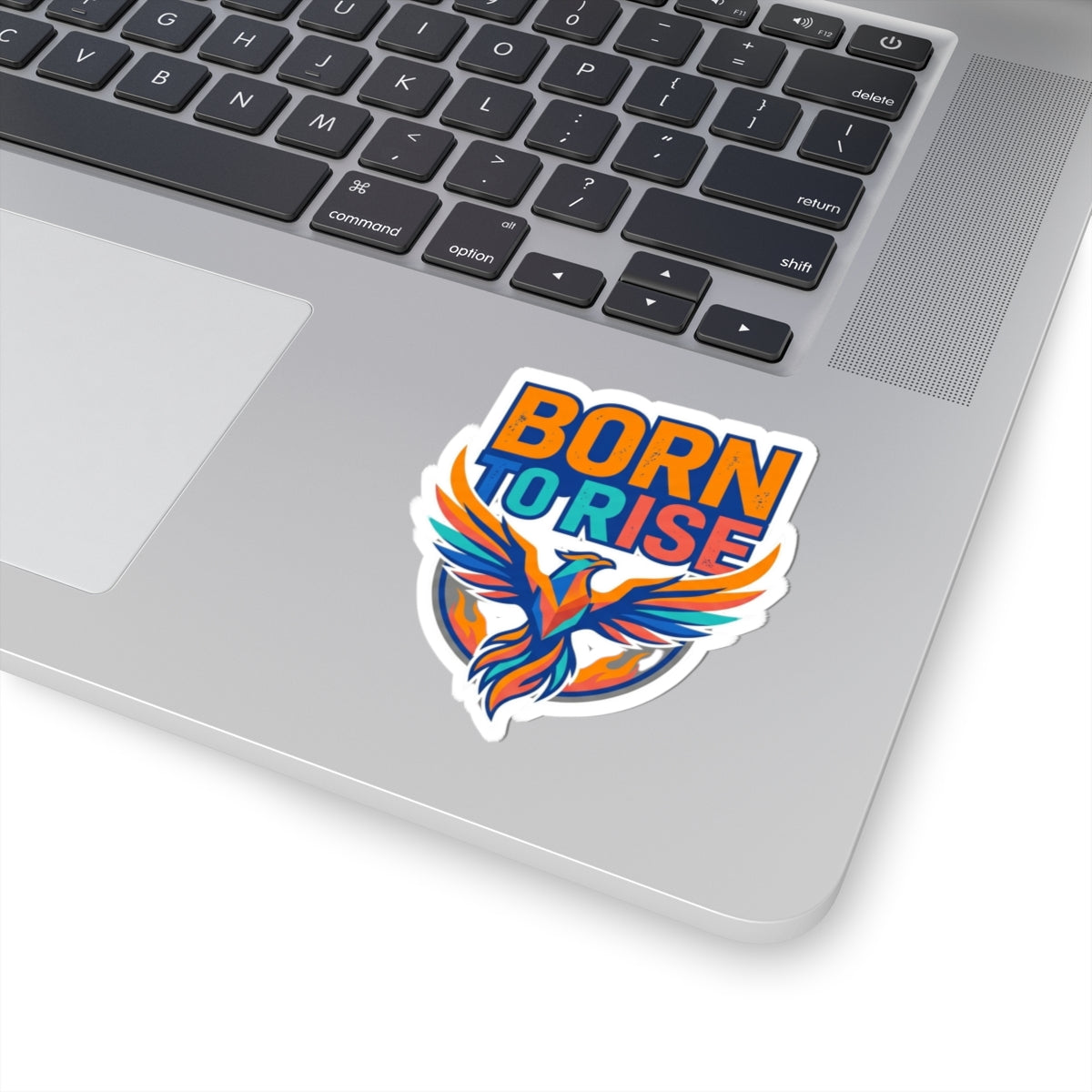 "Born to Rise" Sticker — Main