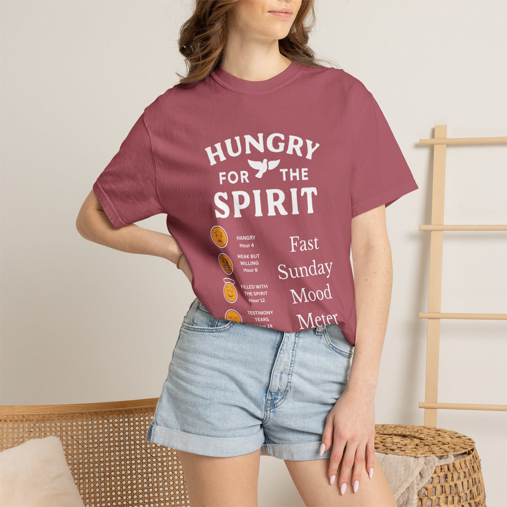 "Fast Sunday Mood Meter" Unisex Garment-Dyed T-shirt
