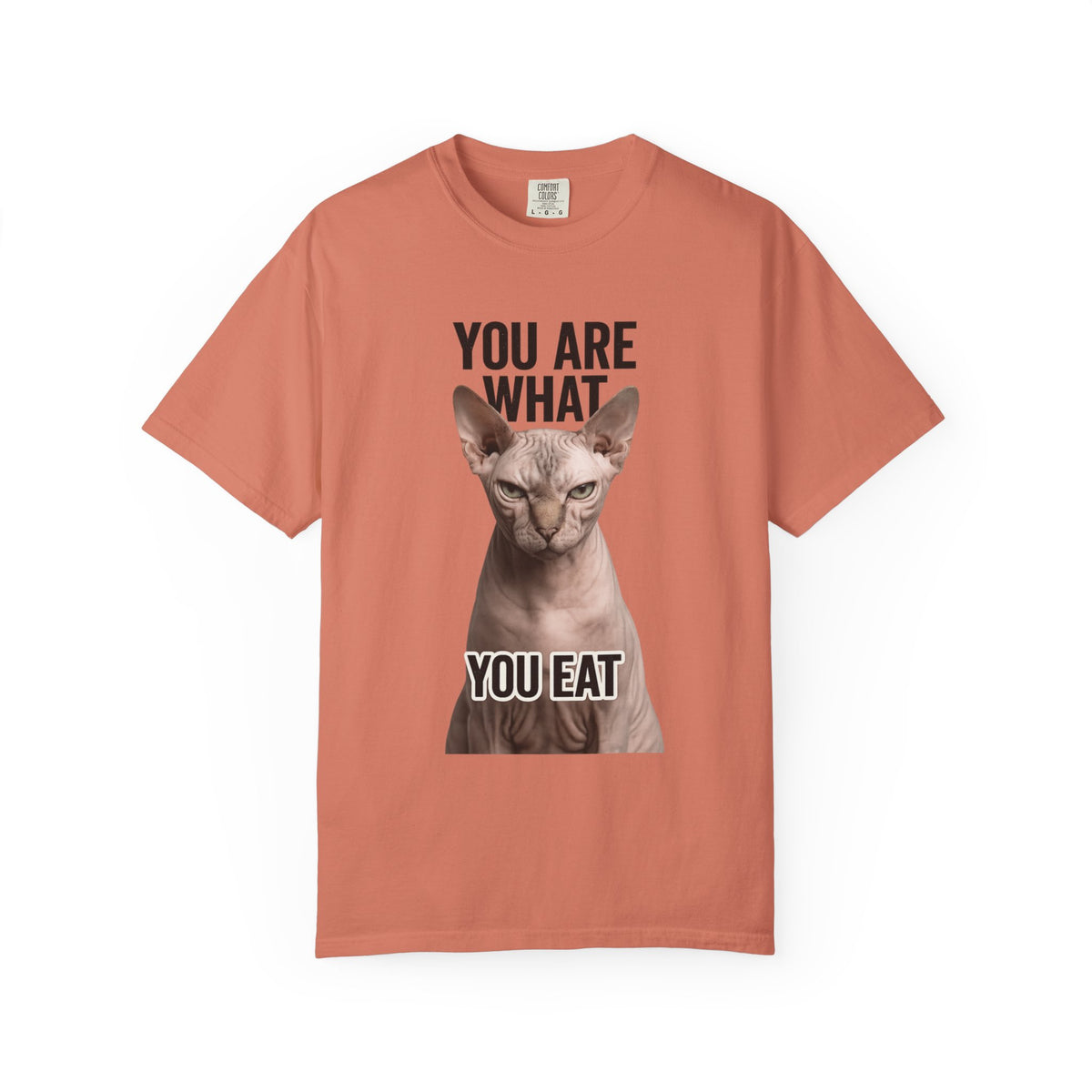 Color: Terracotta | You Are What You Eat - Cat 1 Unisex Garment-Dyed T-shirt