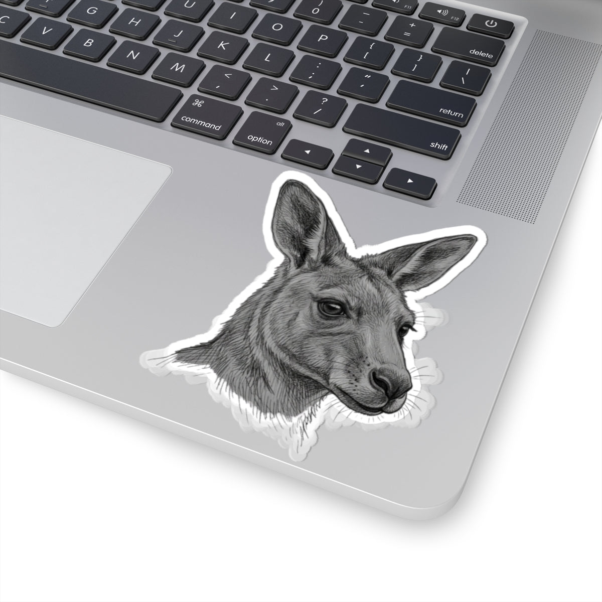 "Pencil Sketch Art Kangaroo" Sticker