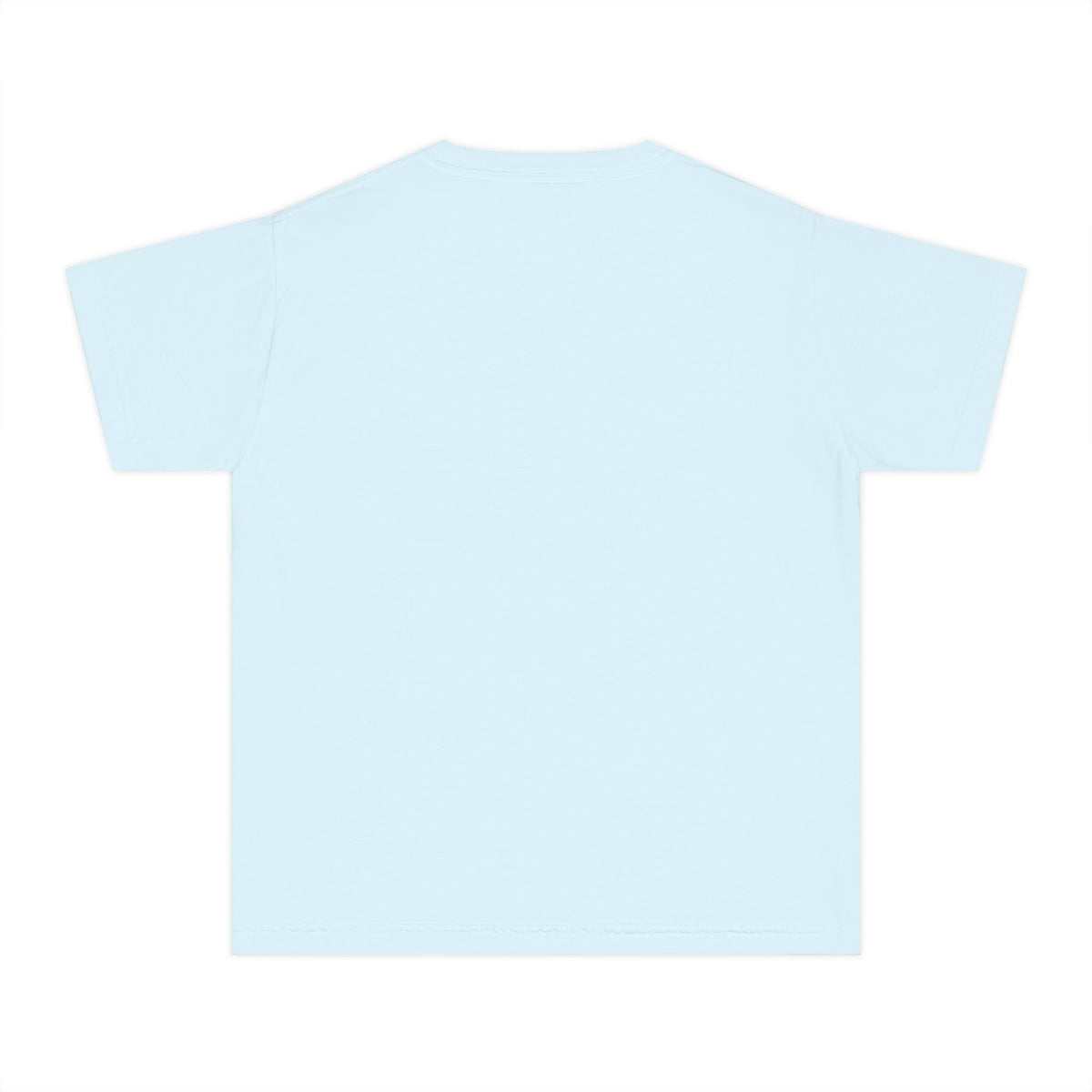 Color: Chambray | Whisky Tango Foxtrot - WTF Decoded | Youth Tee — AttitudeShirts