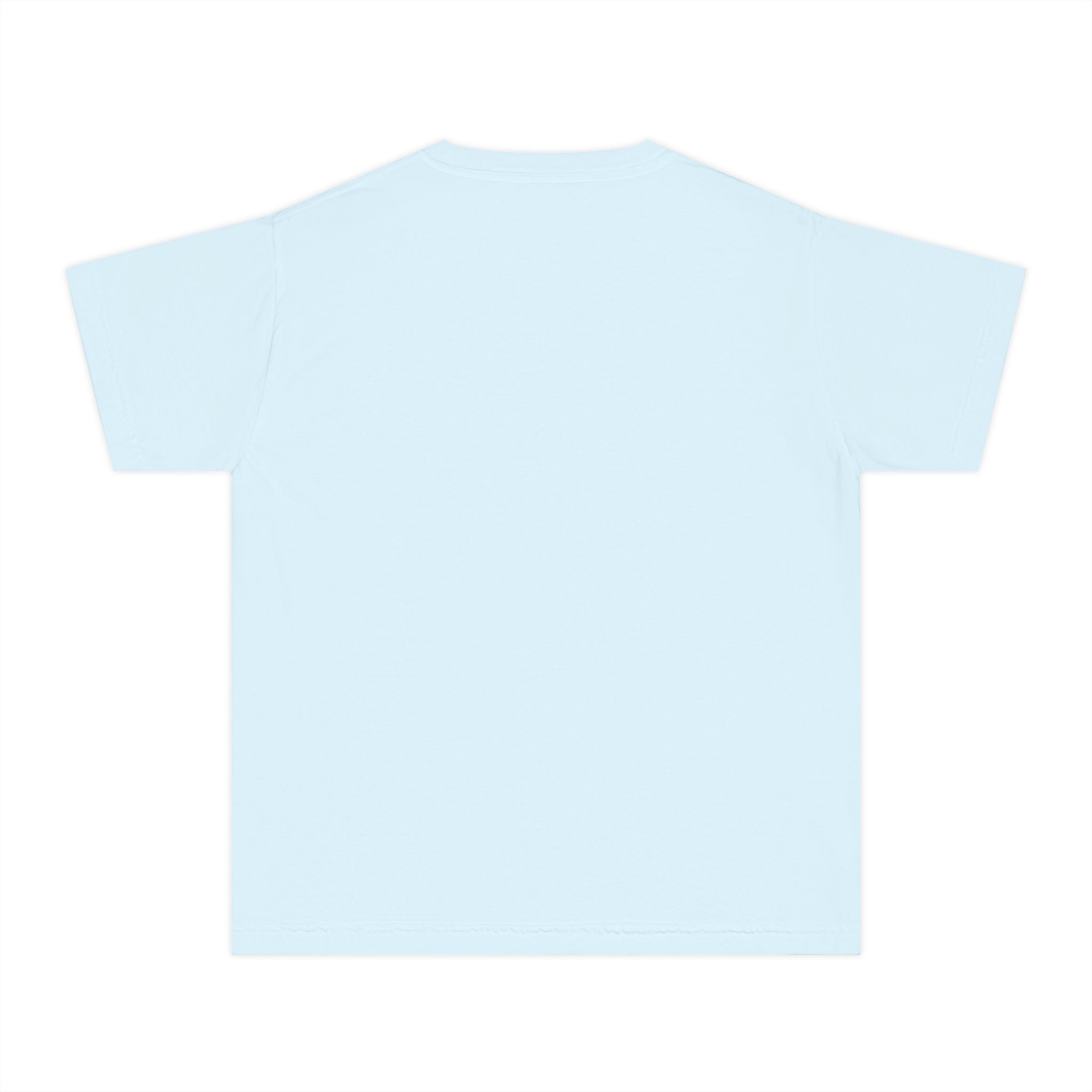 Whisky Tango Foxtrot - WTF Decoded | Youth Tee — AttitudeShirts