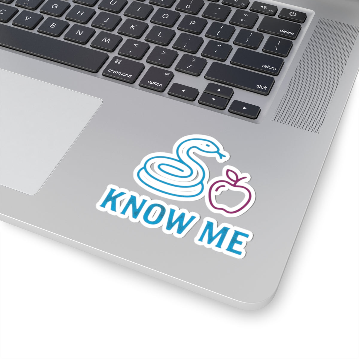 "Good Book Series Know Me In The Biblical Sense" Sticker