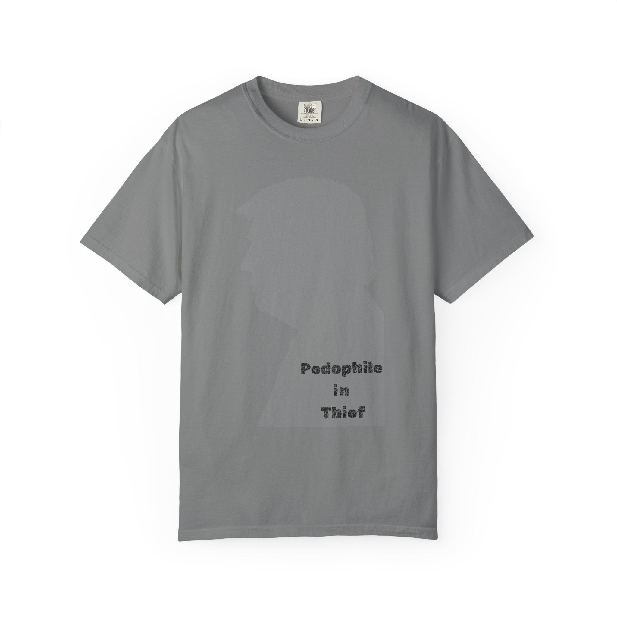 Wolf in Sheep's Clothing Reality Check | Garment-Dyed Tee — AttitudeShirts
