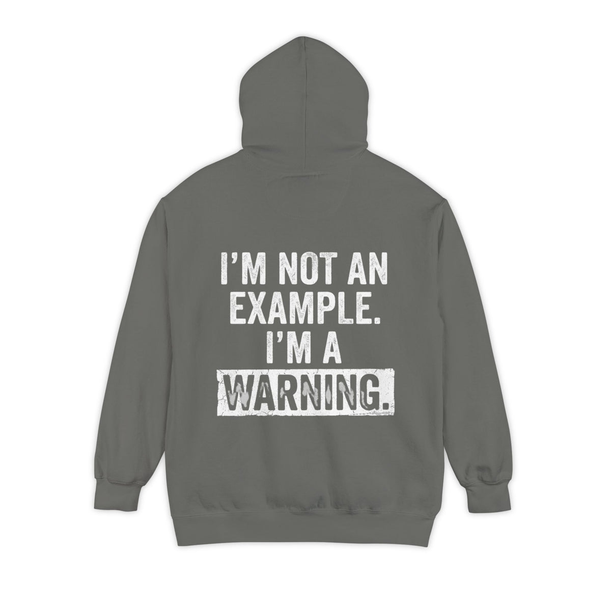 Color: Grey | I'm Not An Example Garment-Dyed Hoodie