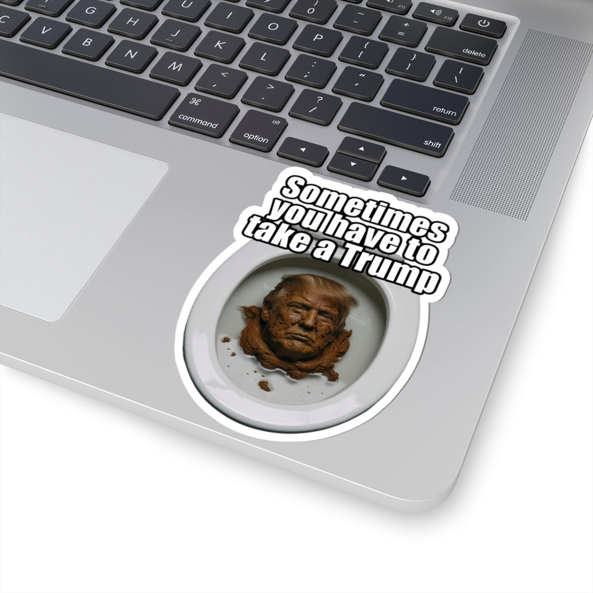 "Sometimes You Have to Take A Trump" Sticker — Main