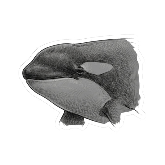 "Pencil Sketch Art Orca" Sticker