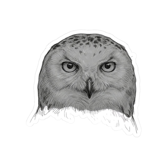 "Pencil Sketch Art Owl" Sticker