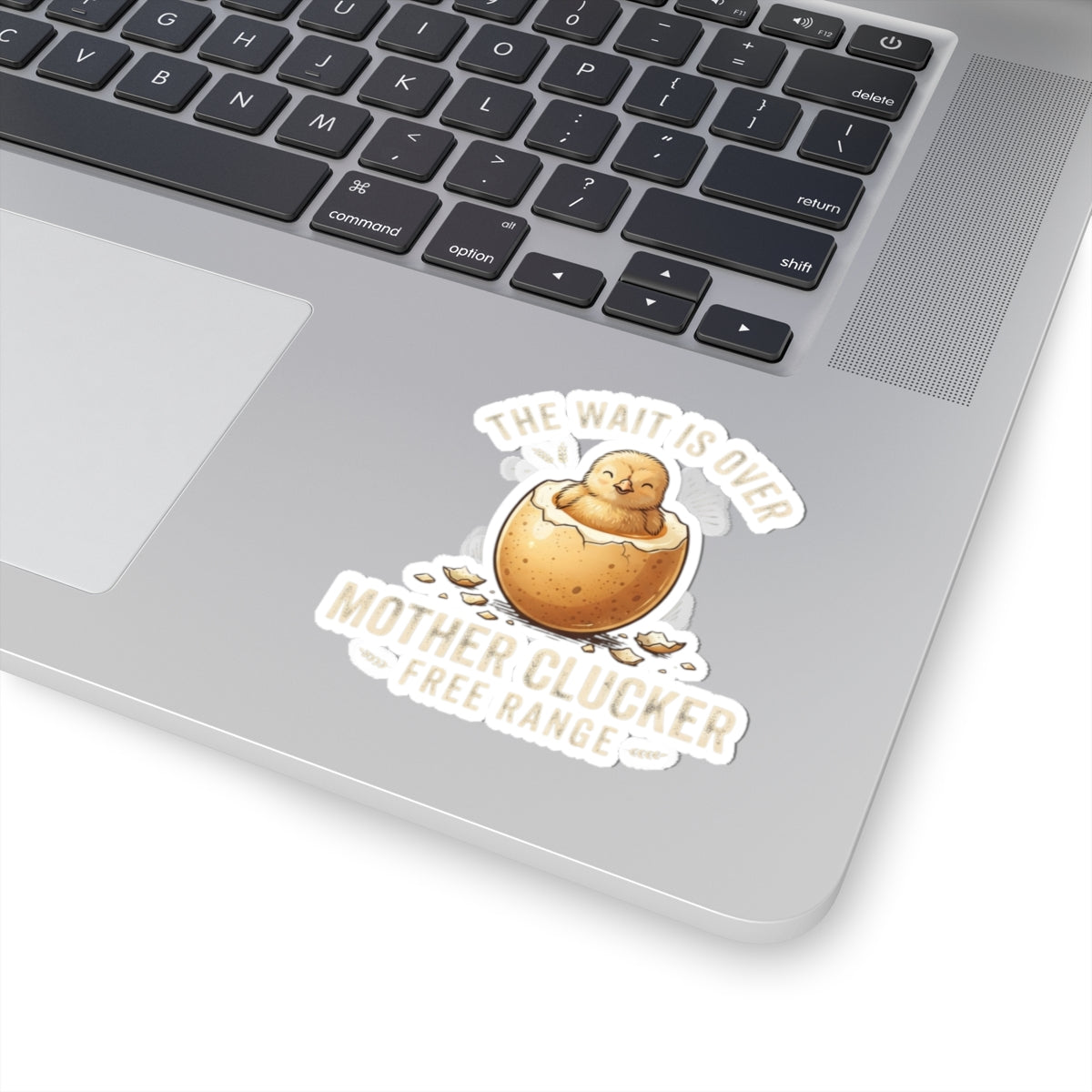 "The Wait is Over" Sticker — Main