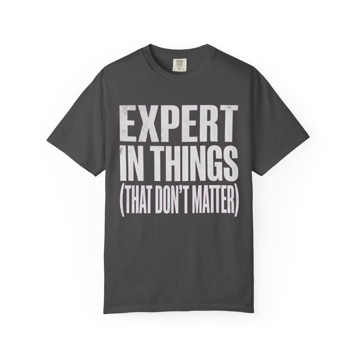 Color: Graphite | Expert In Things Unisex Garment-Dyed Tee