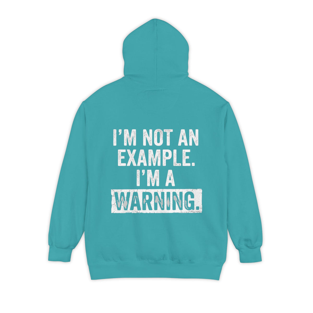 Color: Seafoam | I'm Not An Example Garment-Dyed Hoodie