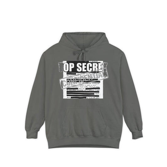 Classified Information Enthusiast | Garment-Dyed Hoodie — AttitudeShirts