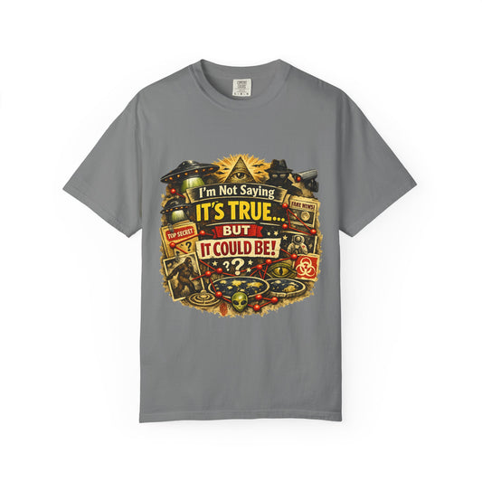 Color: Grey | Just Sayin' Plausible Deniability Tee | Garment-Dyed Tee — AttitudeShirts