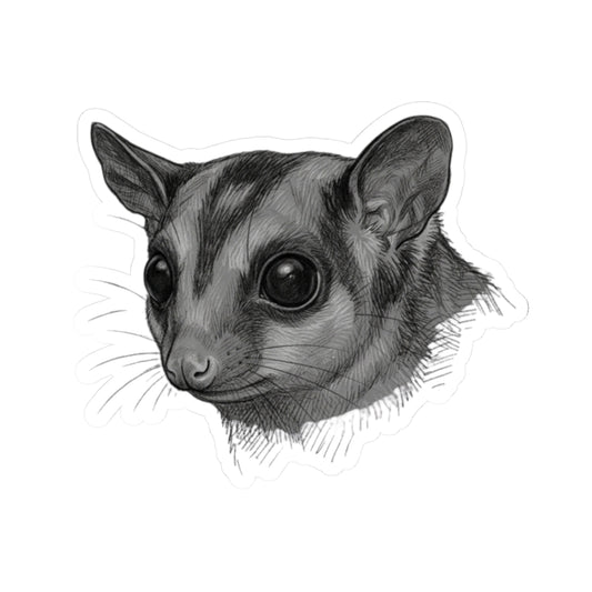 "Pencil Sketch Art Sugar Glider" Sticker