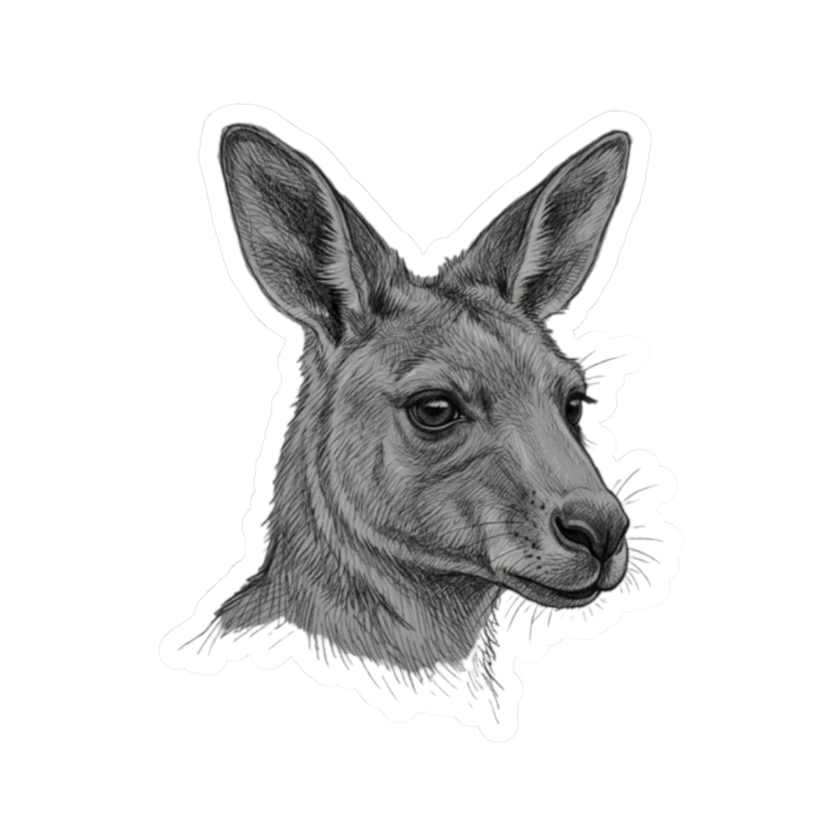 "Pencil Sketch Art Kangaroo" Sticker