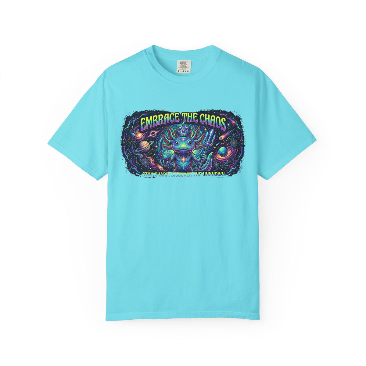 Color: Lagoon Blue | Embrace the Chaos Unisex Garment-Dyed Tee