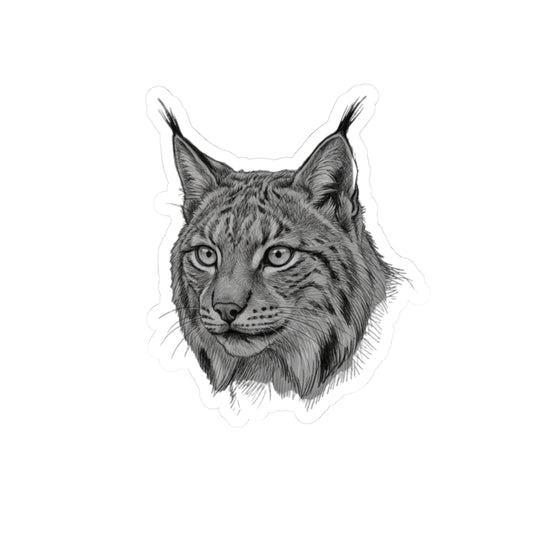 "Pencil Sketch Art Lynx" Sticker