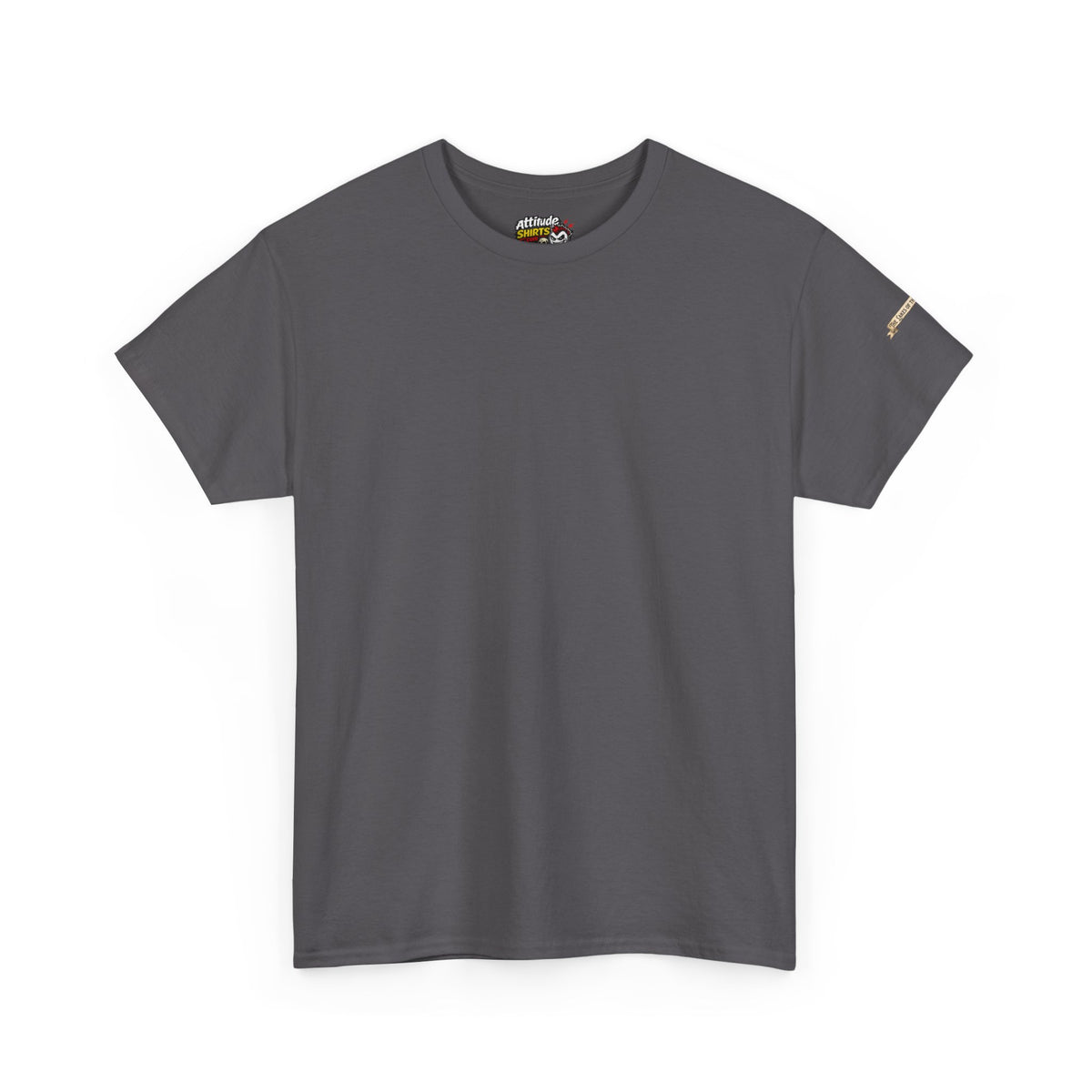 Color: Charcoal | 51st State Great Lakes Premium Graphic Tee
