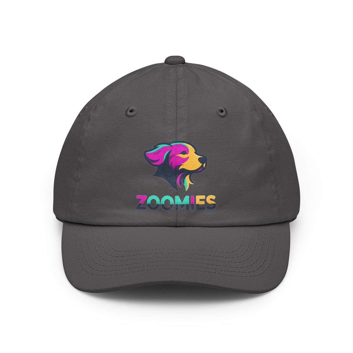 Color: Charcoal | Professional Zoomie Expert Dad Hat — Graphic