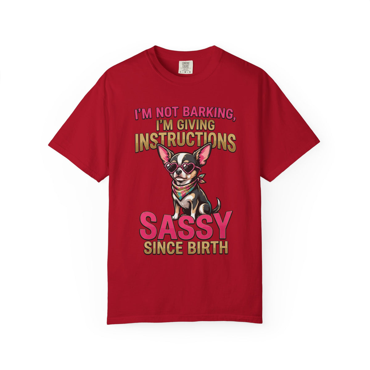 Color: Red | Sassy Since Birth Unisex Garment-Dyed Tee