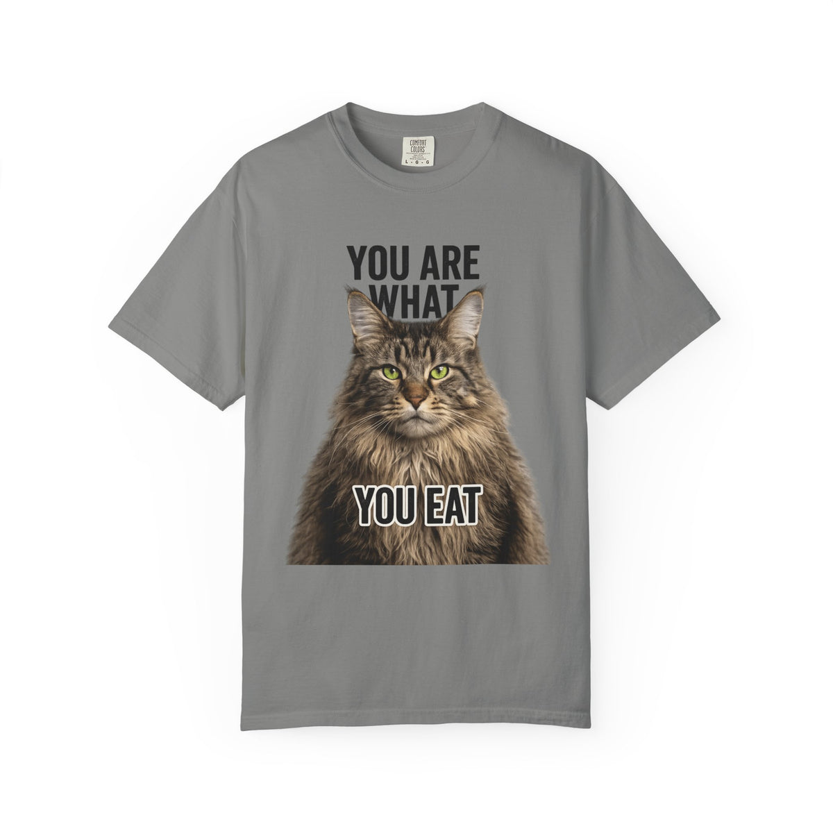 Color: Granite | You Are What You Eat - Cat 5 Unisex Garment-Dyed T-shirt