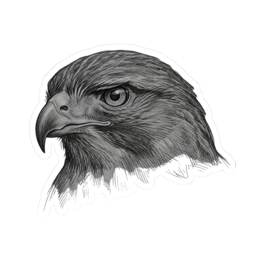 "Pencil Sketch Art Red-Tailed Hawk" Sticker