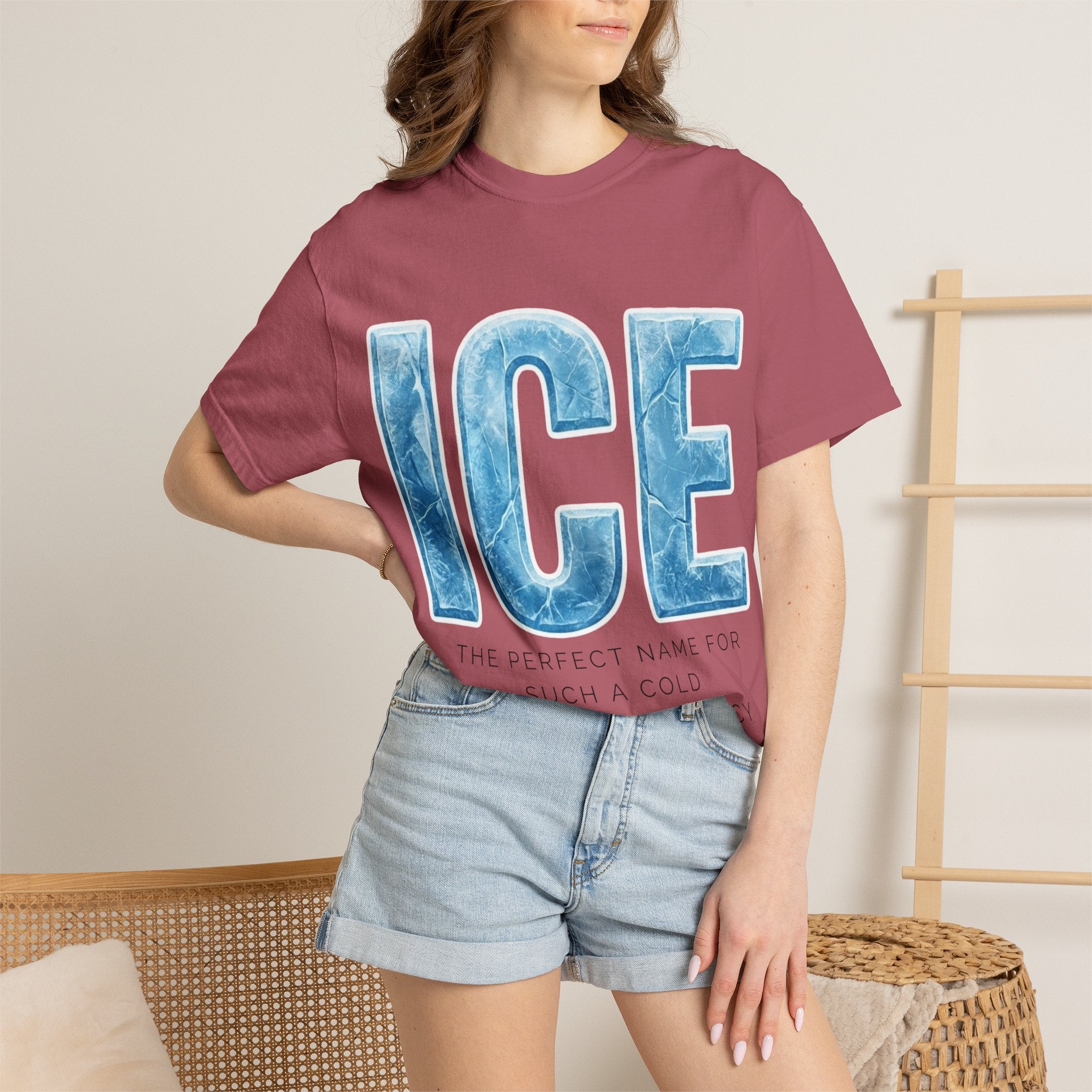 "ICE Cold Government" Unisex Garment-Dyed T-shirt