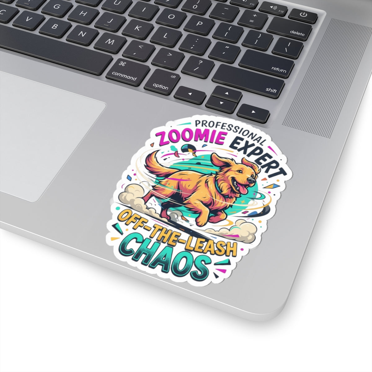 "Professional Zoomie Expert" Sticker — Main