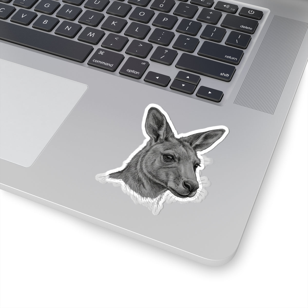"Pencil Sketch Art Kangaroo" Sticker